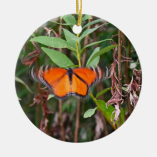 Ornement photo papillon