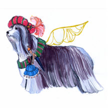 Colley barbu des anges de Gulliver