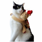 Découpe d'ornement pour jouets blanc et noir