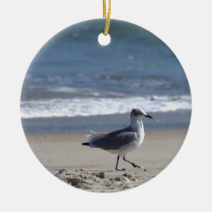 Ornement photo Seagull