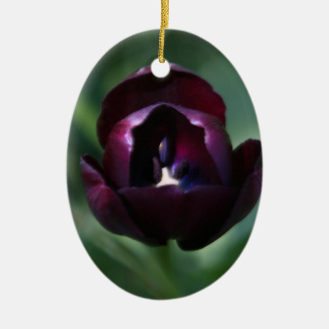 Ornement pourpre de vacances de Noël de tulipe (Devant)