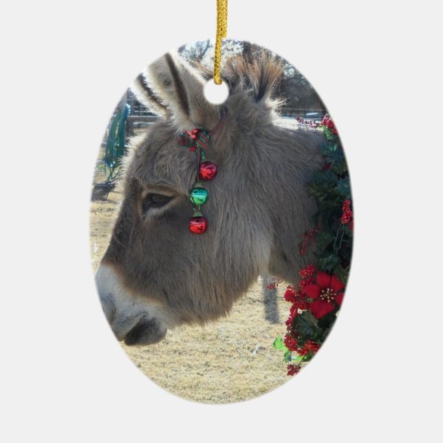 Ornement précieux de Noël d'âne ! (Devant)