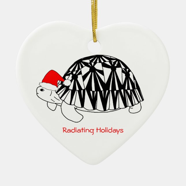 Ornement rayonné de tortue (Devant)