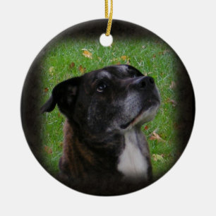 Ornement régulier de ~ de chien