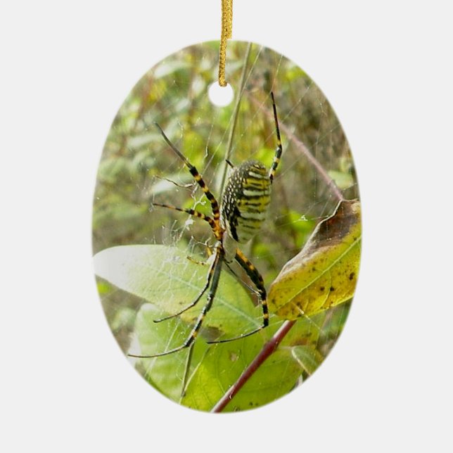 Ornement réuni de Noël d'araignée d'Argiope (Devant)