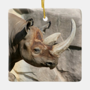Ornement rhino