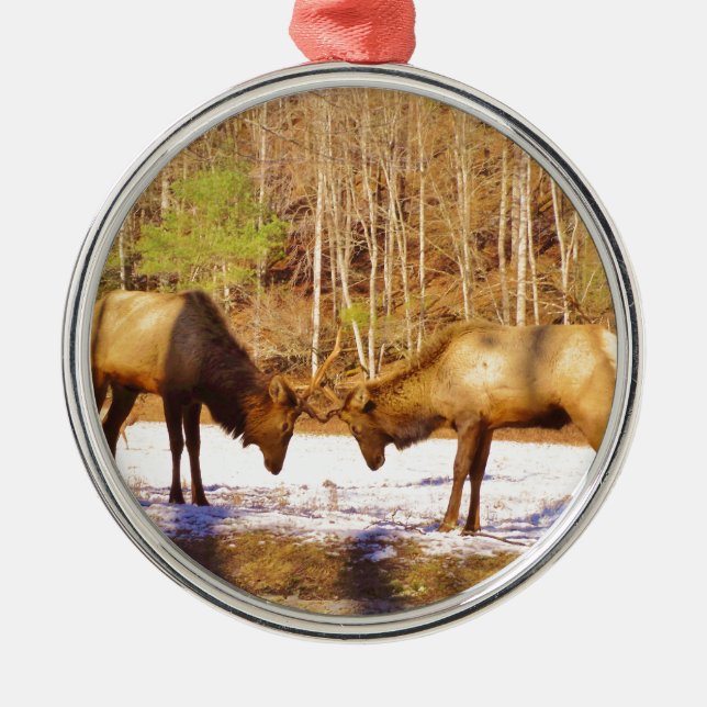 Ornement Rond Argenté 2~ deux Bull Elk dans la neige (Devant)