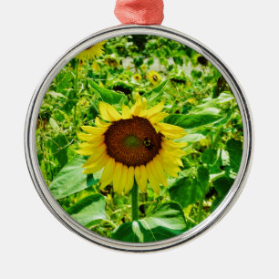 Ornement Rond Argenté Abeille sur tournesol jaune