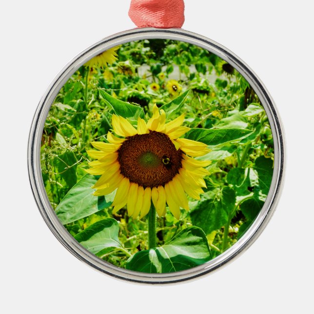 Ornement Rond Argenté Abeille sur tournesol jaune (Devant)