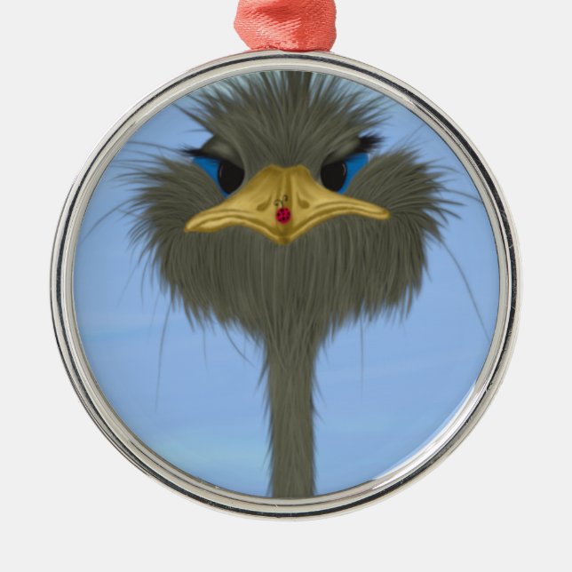 Ornement Rond Argenté Amusant Ostrich George Et Mignonne Ladybug (Devant)