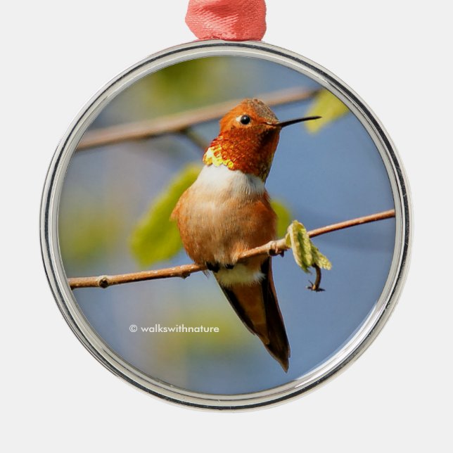 Ornement Rond Argenté Assis Joli : Homme roux colibri (Devant)