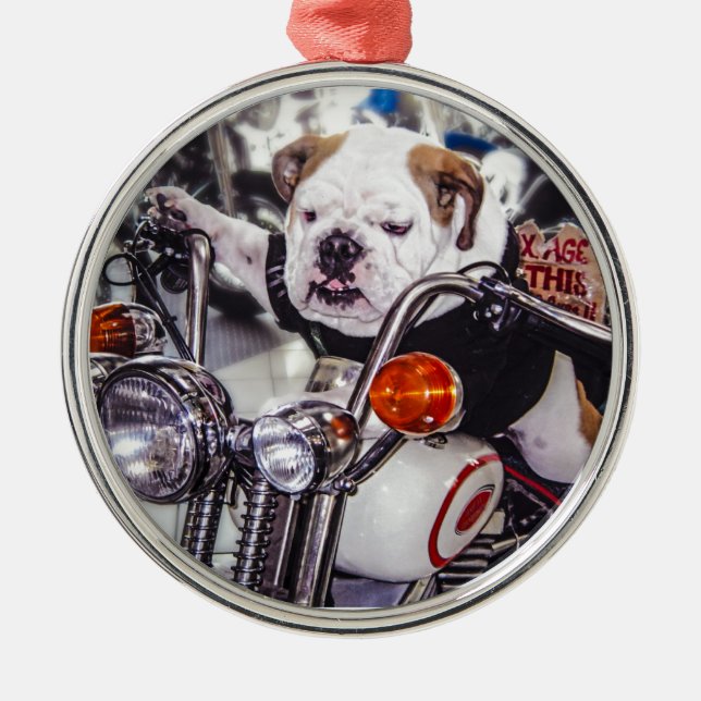 Ornement Rond Argenté Bouledogue sur la moto (Devant)