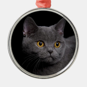 Ornement Rond Argenté British Shorthair Premium