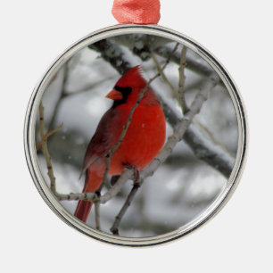 Ornement Rond Argenté Cardinal masculin rouge pendant l'hiver