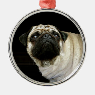 Ornement Rond Argenté Carlin Chien et Mug déversé Amateurs de pois Ornem