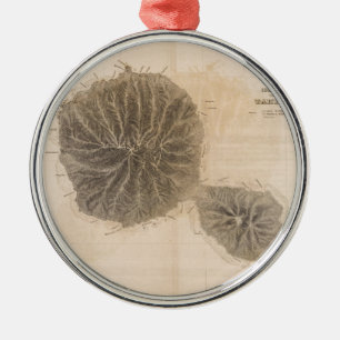 Ornement Rond Argenté Carte vintage de Tahiti (1845)