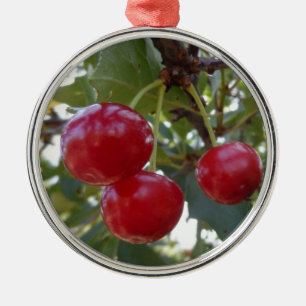 Ornement Rond Argenté Cerises du Michigan