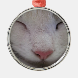 Ornement Rond Argenté Chat couché