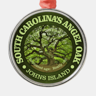 Ornement Rond Argenté Chêne d'ange