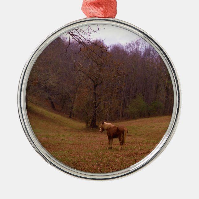 Ornement Rond Argenté Cheval Brown et blond dans un champ (Devant)