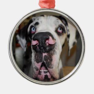 Ornement Rond Argenté Chien ornemanental