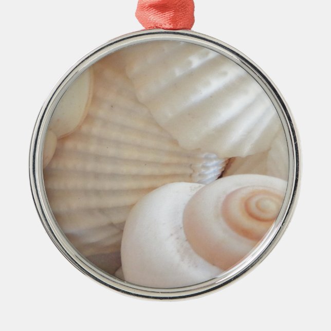 Ornement Rond Argenté Collection de coquillages d'été ensoleillés (Devant)