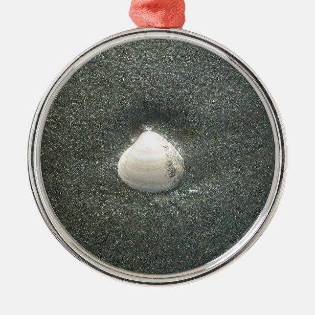 Ornement Rond Argenté Coques de mer Hakuna Matata.JPG (Devant)