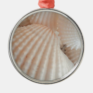 Ornement Rond Argenté Coquillages D'Été Ensoleillés. Romantique, exotiqu