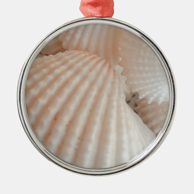 Ornement Rond Argenté Coquillages D'Été Ensoleillés. Romantique, exotiqu (Devant)