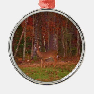 Ornement Rond Argenté Doe a Deer in Lake Arrowhead