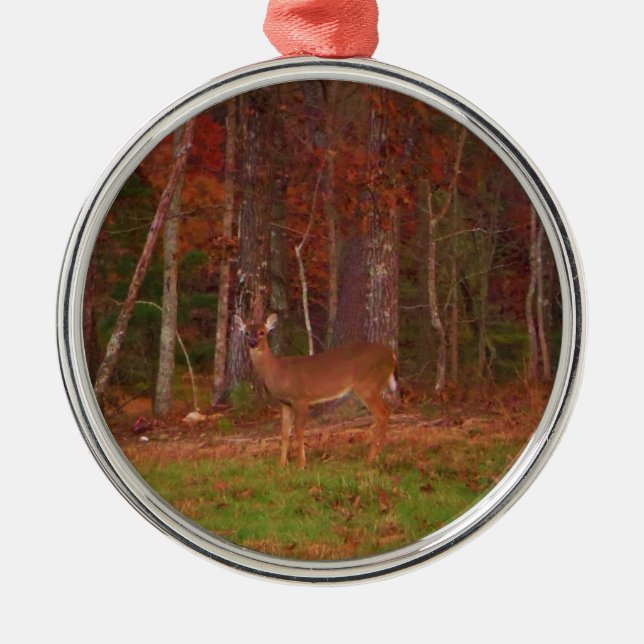 Ornement Rond Argenté Doe a Deer in Lake Arrowhead (Devant)