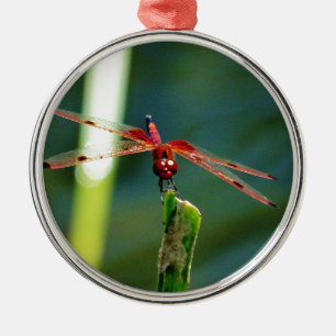 Ornement Rond Argenté Dragonfly frontale rouge et noire