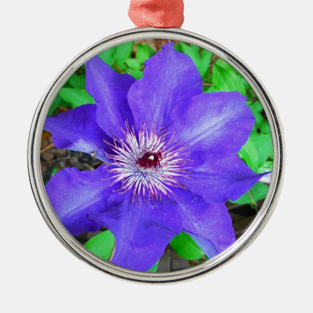 Ornement Rond Argenté Fleur violette Clematis (Devant)