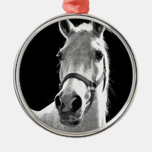 Ornement Rond Argenté Gros plan Cheval blanc noir en nuit