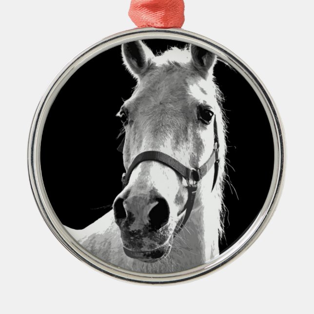 Ornement Rond Argenté Gros plan Cheval blanc noir en nuit (Devant)