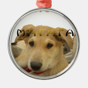 Ornement Rond Argenté Hakuna Matata je sais à quoi tu penses pinctur