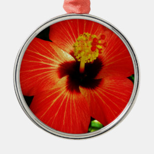 Ornement Rond Argenté Hibiscus rouge