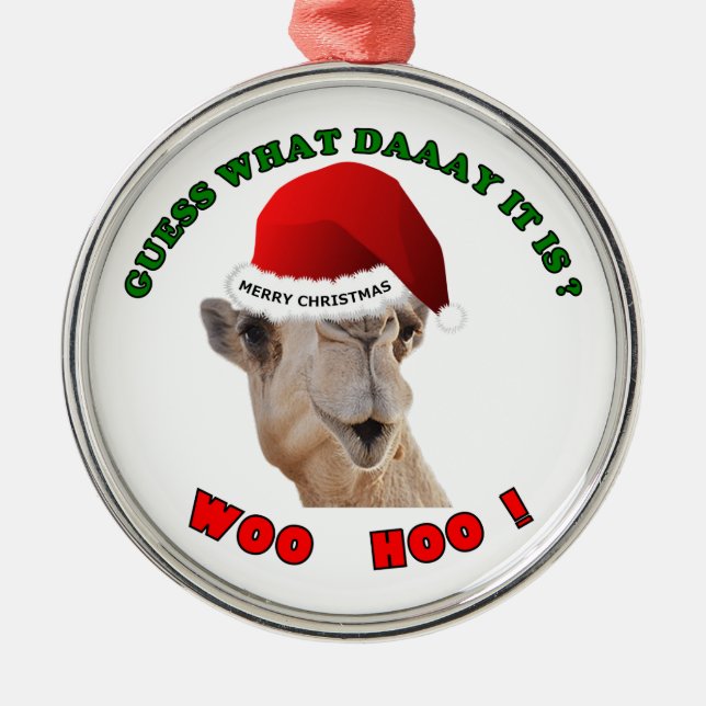 Ornement Rond Argenté Jour de la Humpe Camel cadeau de Noël (Devant)
