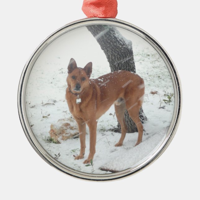 Ornement Rond Argenté La collection de Noël ajoutent la photo d'animal (Devant)