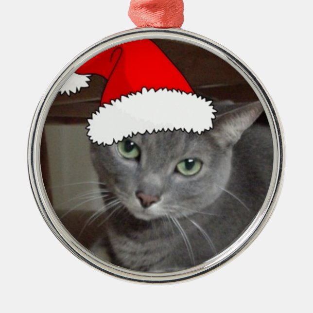 Ornement Rond Argenté Noël du chat bleu russe (Devant)