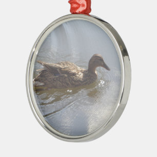 Ornement Rond Argenté Oie sauvage nageant dans le lac, Nature, Oiseau