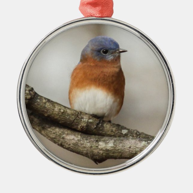 Ornement Rond Argenté Oiseau bleu oriental (Devant)