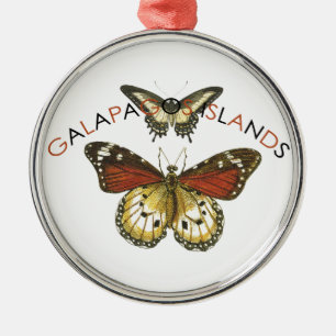 Ornement Rond Argenté Papillon des îles Galapagos