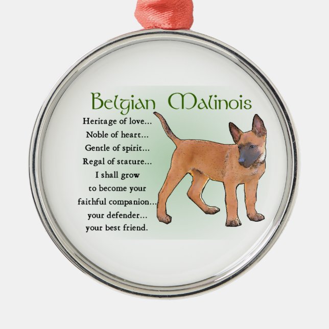 Ornement Rond Argenté Patrimoine Malinois belge de l'Amour (Devant)