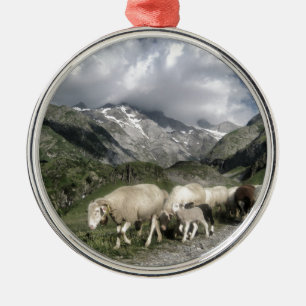 Ornement Rond Argenté paysage pyrénéen