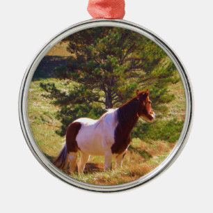 Ornement Rond Argenté Peint Poney par le pin