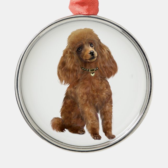 Ornement Rond Argenté Poodle - Apricot (Devant)