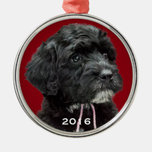 Ornement Rond Argenté Rouge portugais d'ornement de chien d'eau
