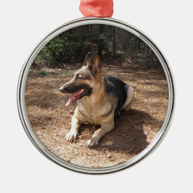 Ornement Rond Argenté shepard allemand 2 (Devant)