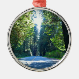 Ornement Rond Argenté Traverser la forêt à Crescent City